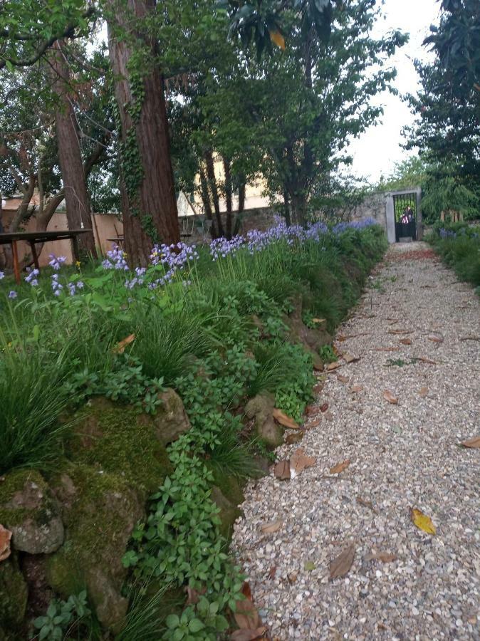B&B Villa Gualterio Bolsena Dış mekan fotoğraf